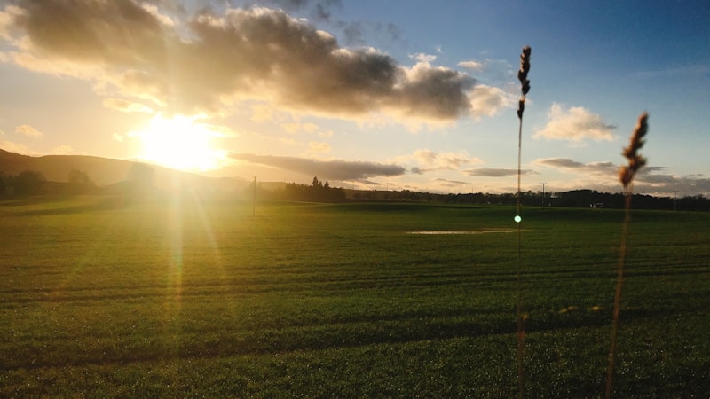 Artemisbet Yeni Giriş Yolu